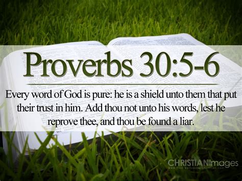 Proverbs 305 6 Every Word Of God Is Pure Wallpaper Christian