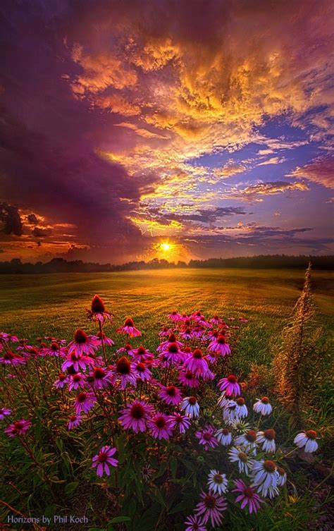 Into The Moment Wisconsin Horizons By Phil Koch Beautiful Nature