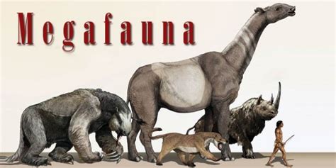 Megafauna Big Animals