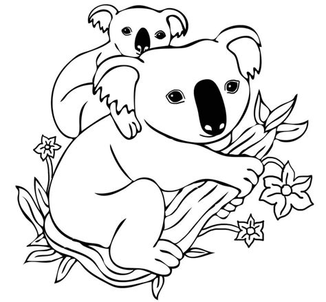 Ausmalbilder: koala zum ausdrucken, kostenlos, für kinder und erwachsene