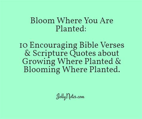 Bloom Where You Are Planted 10 Encouraging Bible Verses And Scripture