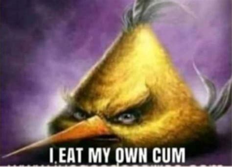 Blursed Angry Birds R Blursedimages