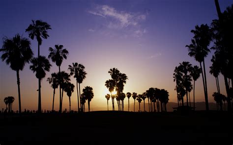 Sunset At Venice Beach