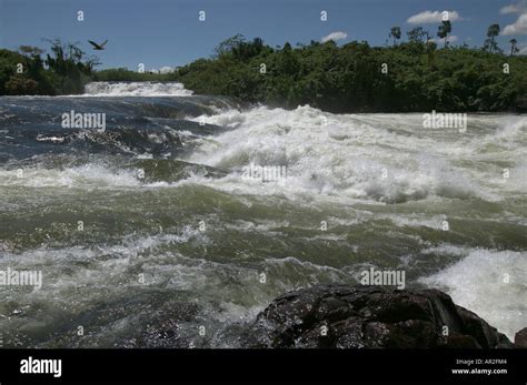 Africa Uganda Jinja Nile River Flows Over Rapids At Bujagali Falls Near