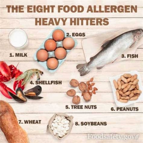 Do You Have One These Are The Eight Major Food Allergies Mount