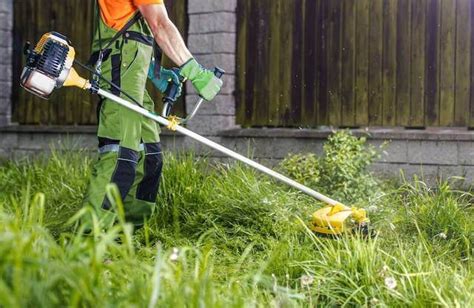 How To Start A Lawn Care Business For Profitability