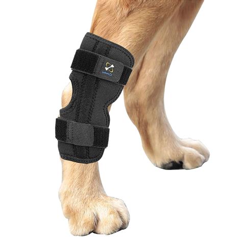 Powerful Dog Canine Rear Leg Hock Joint Brace With Metal No Color