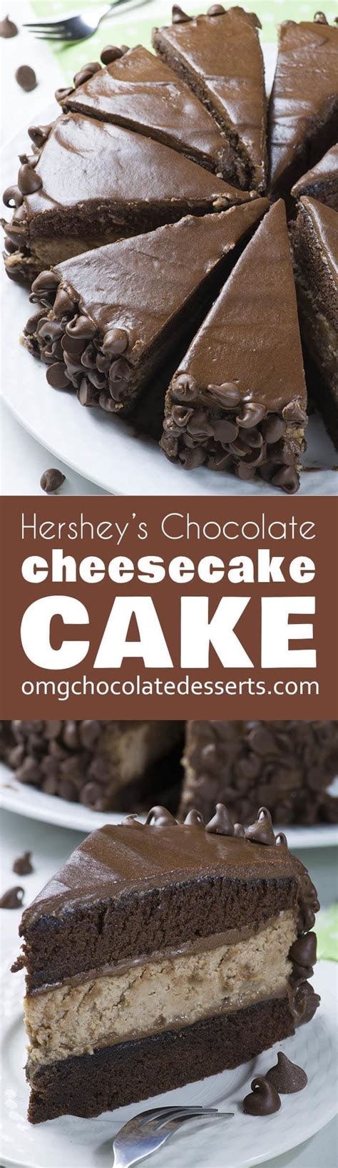 Perfectly Chocolate Chocolate Cheesecake Cake Omg
