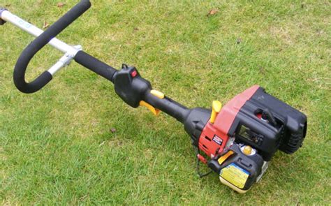 All those of you who have decided to. The Best Petrol Grass Trimmers on the UK Market | Garden ...