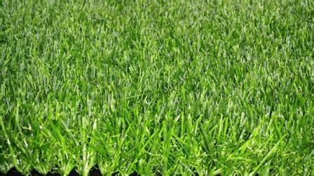 Check spelling or type a new query. Artificial Grass Hire - Melbourne Table & Chair Hire ...