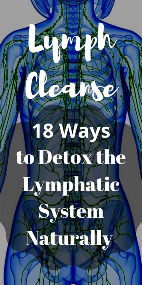 Lymph Cleanse 18 Ways To Detox The Lymphatic System Naturally Artofit