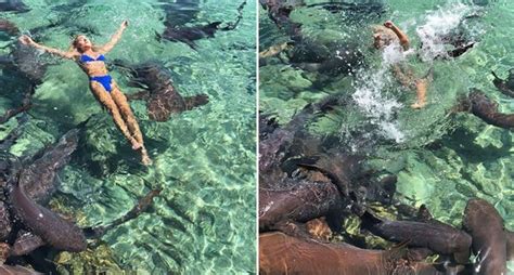 Instagram Model Katarina Zarutskie Poses With Sharks Gets Bitten By