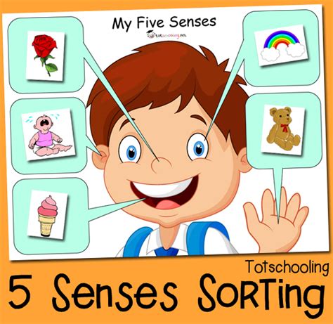 Five Senses Sorting Printable Totschooling Toddler Preschool