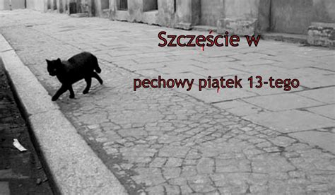 We did not find results for: Szczęście w pechowy piątek 13-tego. | sameQuizy