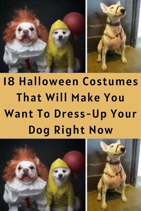 Three Pictures Of Dogs Dressed Up As Clowns One With Red Hair And The