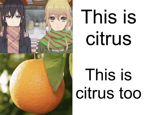 Source Citrus R Citrusmanga
