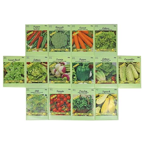 14 Packets Variety Premium Vegetable Seeds All Seeds Are Heirloom 100