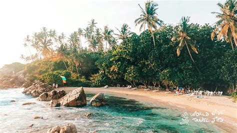 Ultimate Guide To Mirissa Beach Sri Lanka