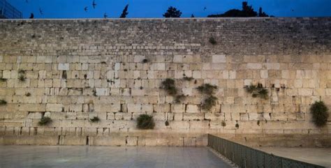 הכותל הדרומי? פני הדור כפני הכותל - סרוגים