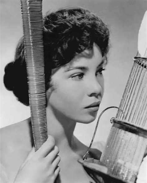 french born actress and dancer leslie caron with a birdcage 1951 old photo 5 70 picclick