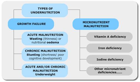 Types Of Malnutrition Public Health Notes
