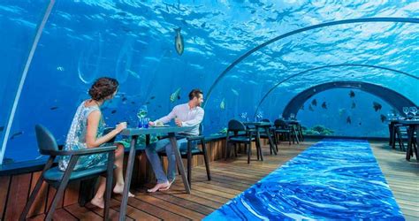 Underwater Restaurants In Maldives For Honeymoon Trip Honeymoonbug