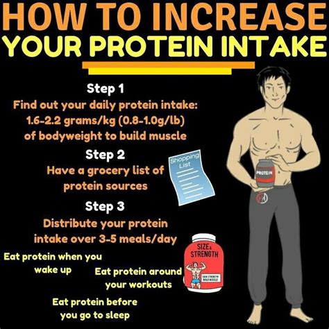 How To Increase Protein Intake Daily Protein Intake Workout Eating