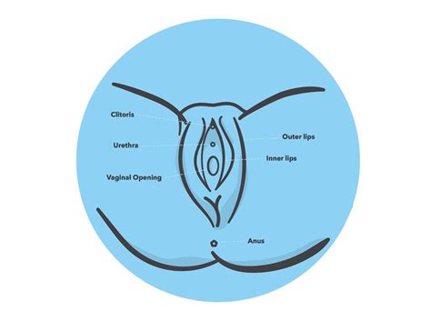 Let S Talk About Our Vaginas Myths Anatomy And Key Health Tips Glamour