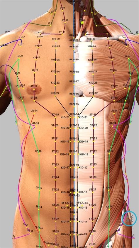 Acupoint 4 Acupuncture Points Chart Acupunture Acupuncture Points Agopuntura Agopressione