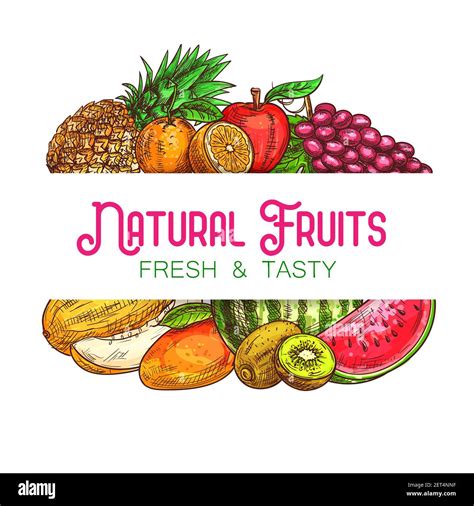 Natural Fruits Vector Banner Frame With Sketch Pineapple Orange