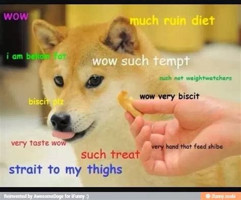 Awesome Doge Tempting Doge With Food