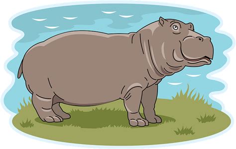 Hippopotamus Clipart Free Download Transparent Png Creazilla