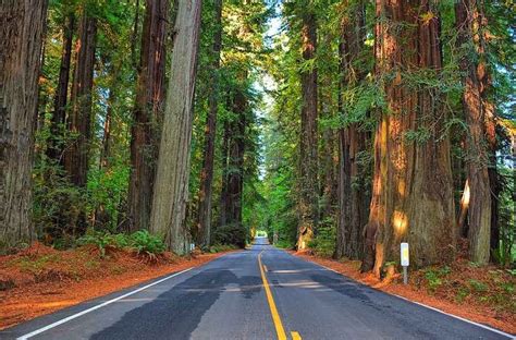 Road Trip From Portland To San Francisco The Ultimate Guide