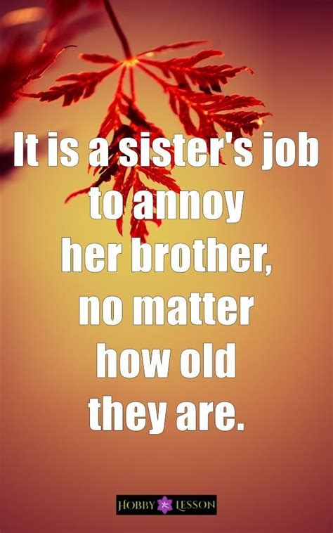 Brother sister quotes that will tell you more about the finer nuances of the bond that is full of sweet and sour moments spent between a brother and if you like this article, you might be interested in some of our other articles on amazing life quotes, funny love quotes for him, little sister. 40 Cute Brother and Sister Quotes and Sayings