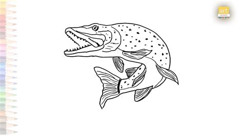 Northern Pike Drawing Fish Drawing Tutorials How To Draw Northern