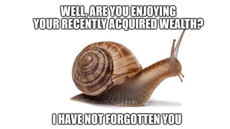 Immortal Snail Know Your Meme