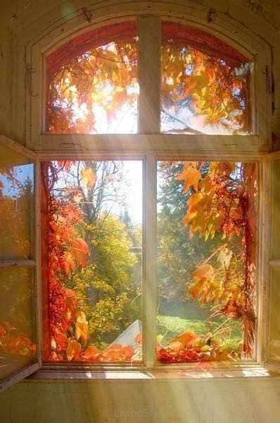 Pin By Connie Sigman On Autumn Autumn Scenery Through The Window