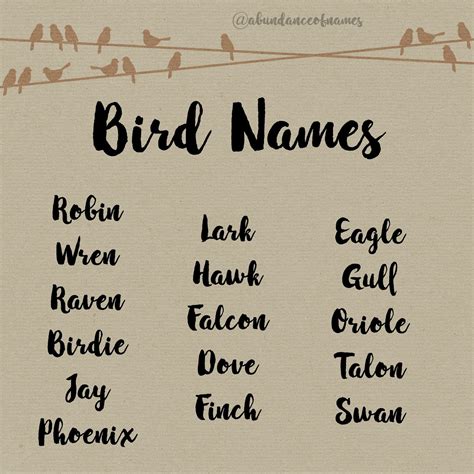 Busolă Trotuar Salvare Unique Bird Names With Cool Meanings Calitate