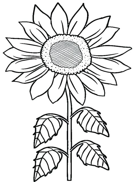 Cute Coloring Pages Sunflower Printable Coloring Pages