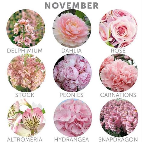 Wedding season is a thing again. In season flowers...November | wedding | Pinterest ...