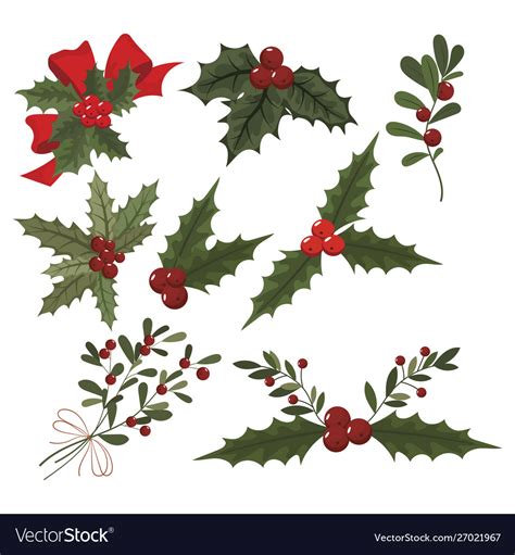Set Christmas Flowers Collection Poinsettia Vector Image