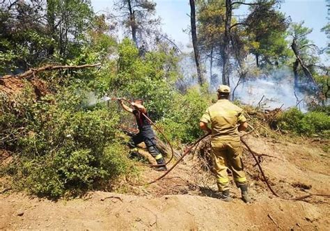 Pompierii Rom Ni Lupt Cu Fl C Rile N Grecia