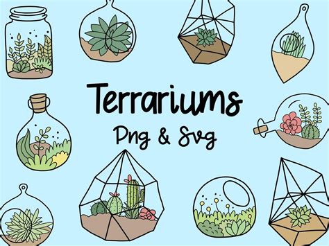 Cactisucculent Terrariums Clipart Clip Art Cute Doodles Vector