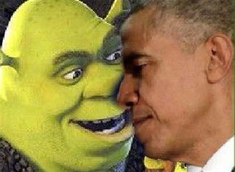 Weird Shrek Memes Hot Sex Picture