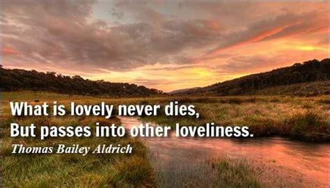 Top 50 Inspirational Quotes losing Loved one - Events Yard