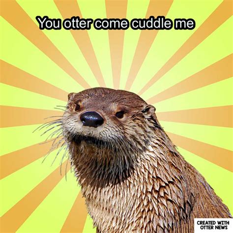 You Otter Come Cuddle Me In Otter News