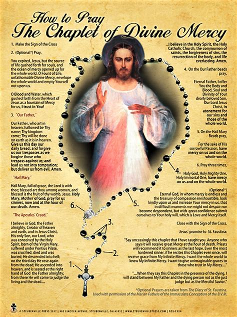 How To Pray The Divine Mercy Chaplet Infographic Catholics Striving