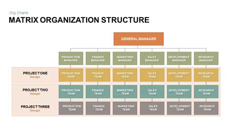 😊 Matrix Structure Chart Matrix Organizational Structure Advantages