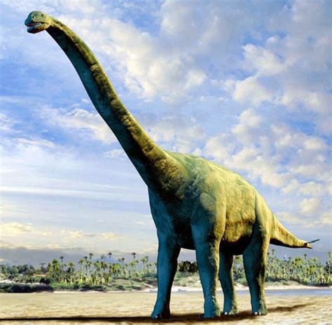 Evolutionsbiologie Rätsel Um Riesenwuchs Vegetarischer Dinos Gelöst Welt