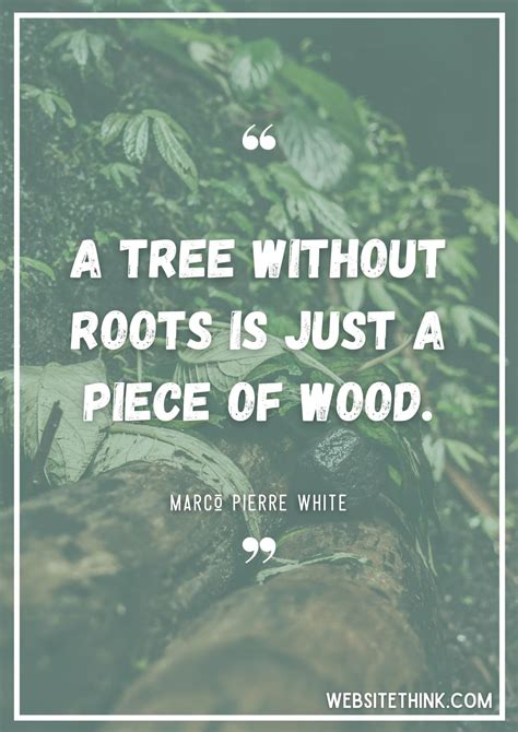 73 Wise And Insighful Quotes About Roots 🥇 Images